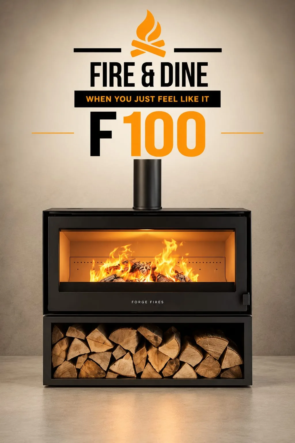 Forge F100 Closed Combustion Fireplace